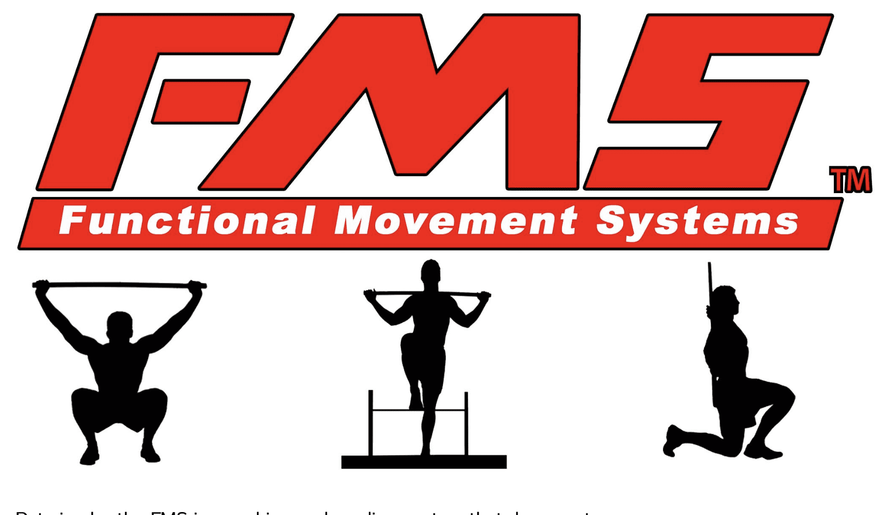 Functional Movement Systems Certified